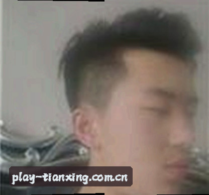 陈磊